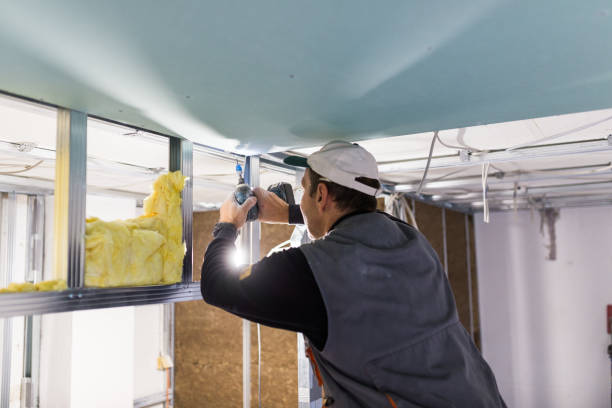Best Blown-in Insulation  in Anaconda, MT